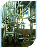 Cakesep plant installed for Cipla