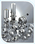 Sanitary Pumps