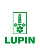 Lupin
